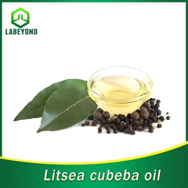 Litsea Cubeba Oil CAS 68855-99-2 Litsea Cubeba Esenciální olej pro péči o pleť
